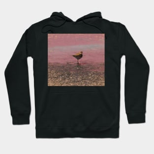 Sandpiper in the marsh illustration Hoodie